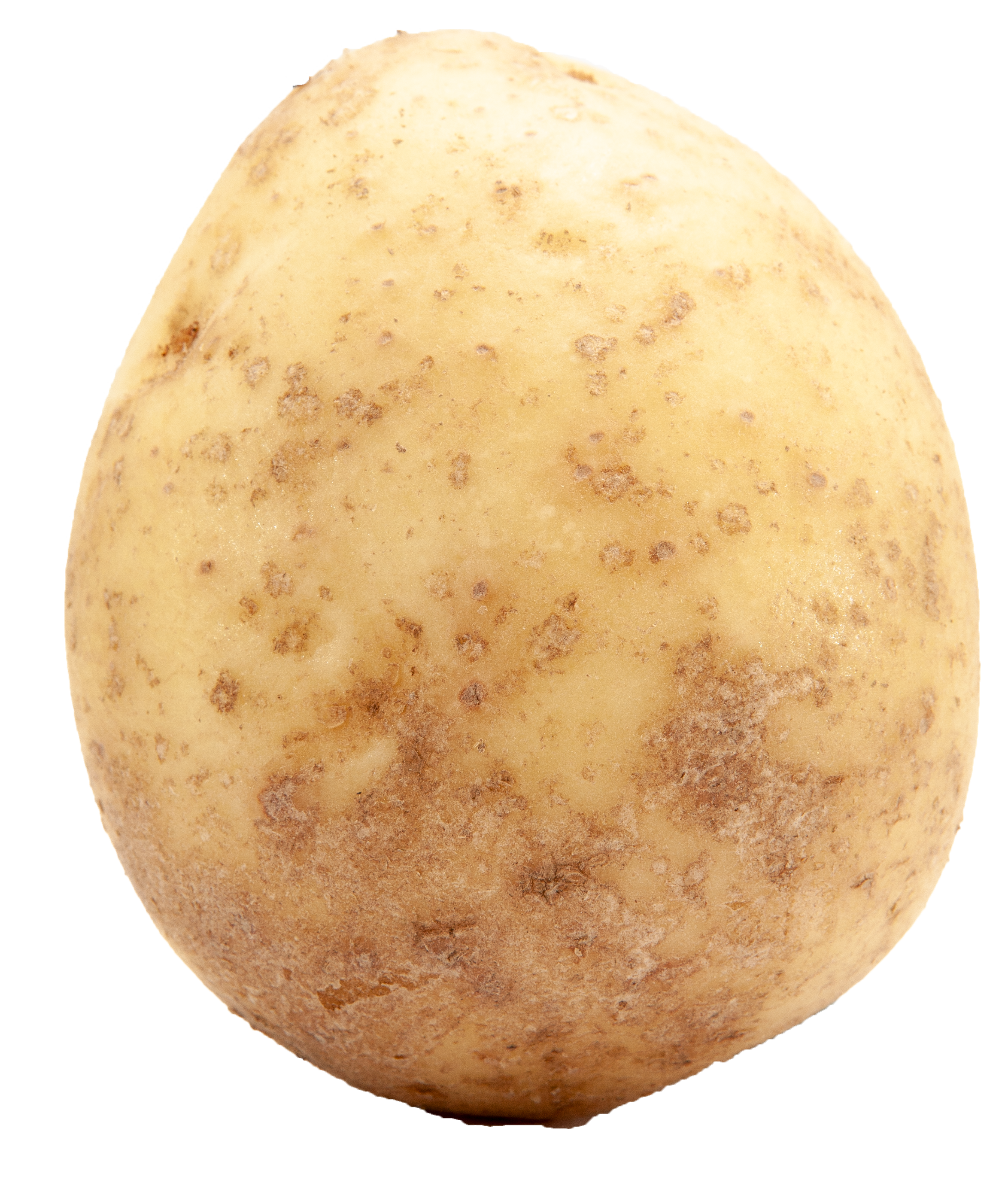 Mr Potato Head Stock Photo - Download Image Now - Prepared Potato, Raw  Potato, Potato Head - iStock
