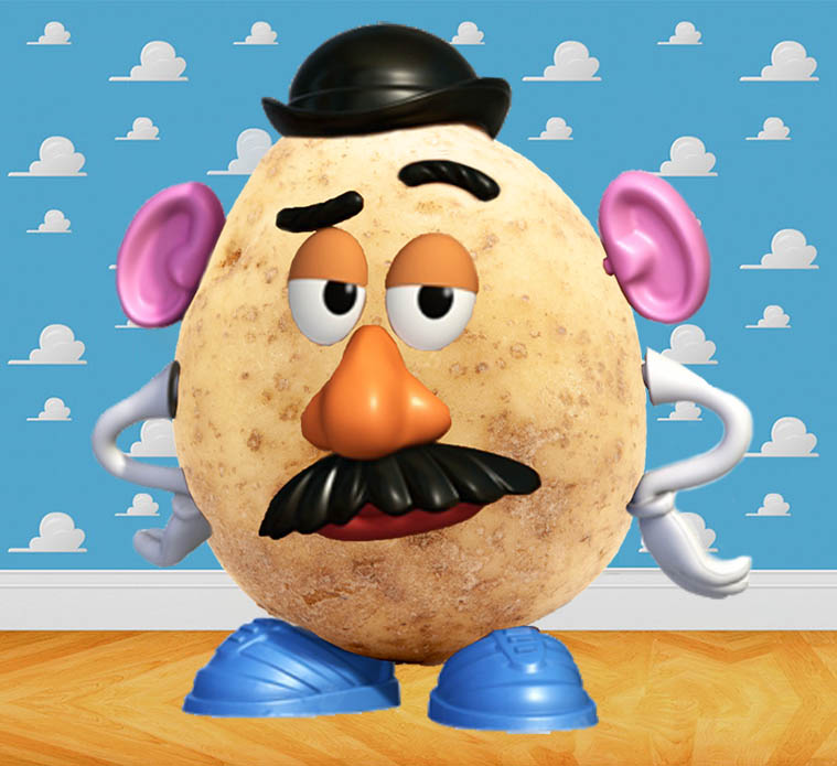 SFTW66Potato_head2.jpg