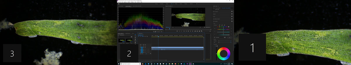set up adobe premiere with 2 screens