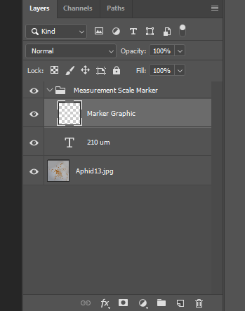 Photoshop5.png