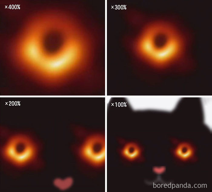 funny-black-hole-memes-200-5caf2603d0855__700.jpg