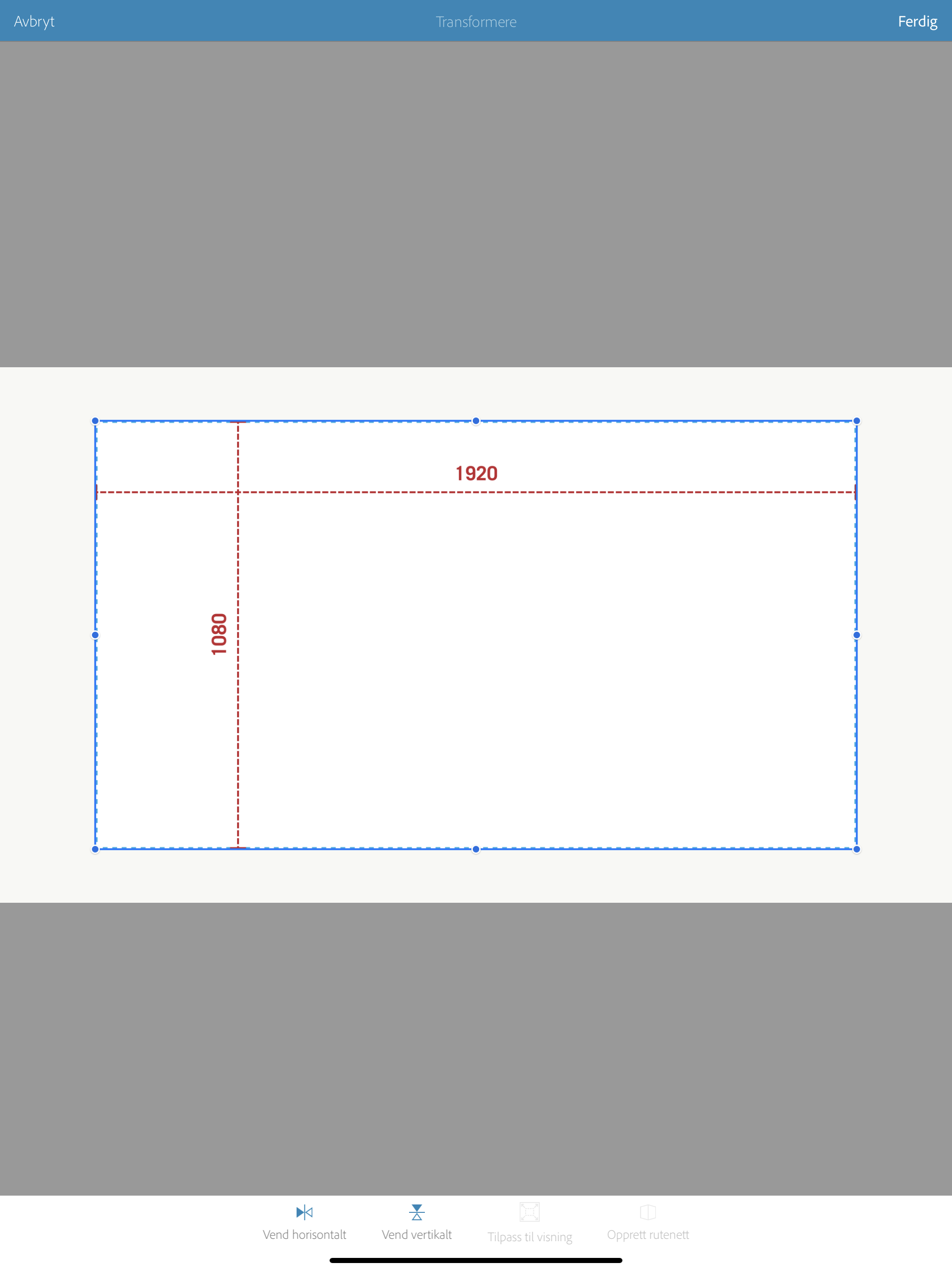Resize Artwork In Sketch Adobe Support Community 10491224