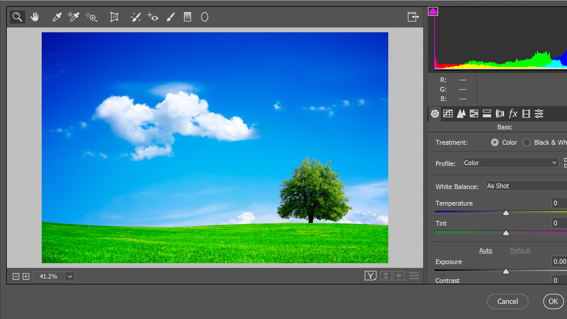 adobe camera raw update