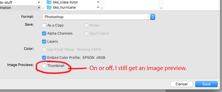 screenshot-PSD-preview.png