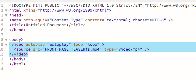 html video tag loop