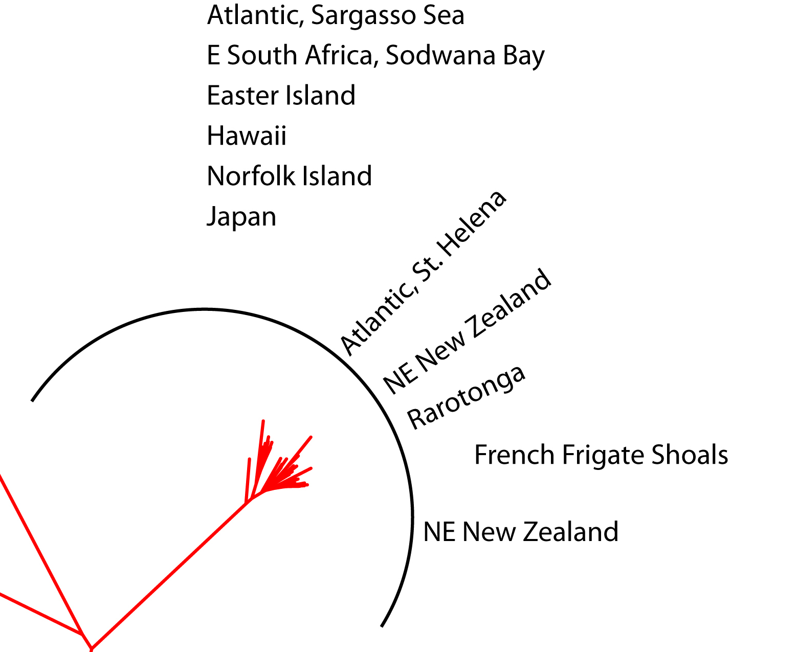 NJtree_fullmtDNA_02.jpg