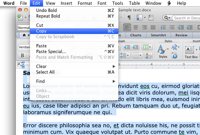 how to copy and paste in word to a new document