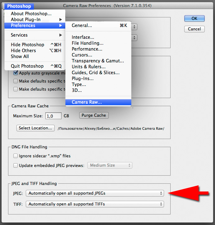 adobe bridge cs6 open in camera raw