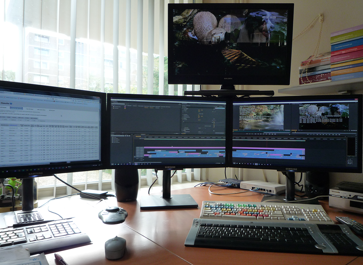 Monitor_setup_small.png