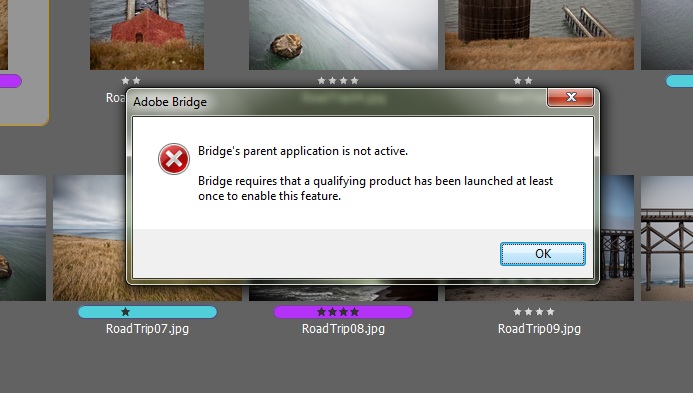 download adobe bridge cs6