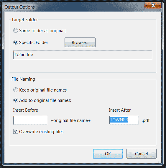 batchWindow.gif