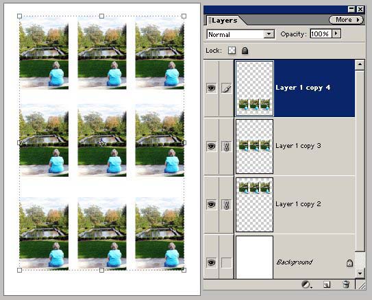 How to print multiple copies of same image (with s... - Adobe Community