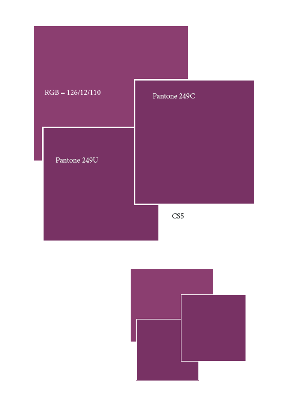 Screen view CS5 PDF.png