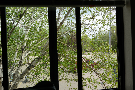 window-72dpi.jpg
