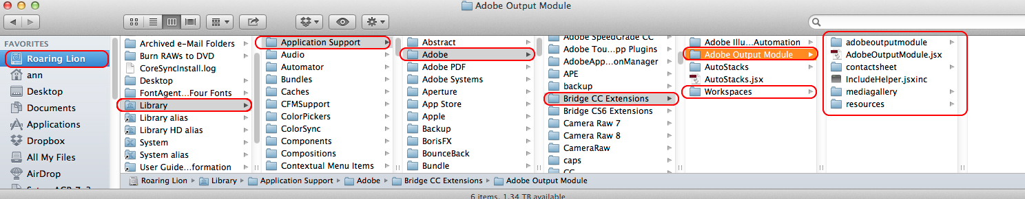 Adobe bridge free download