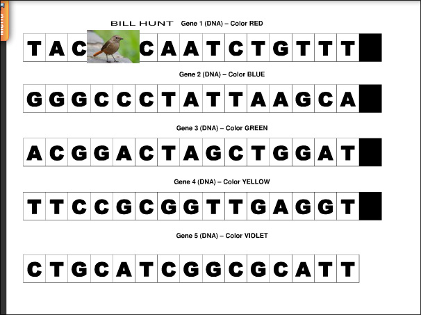 BillsSequence copy.jpg