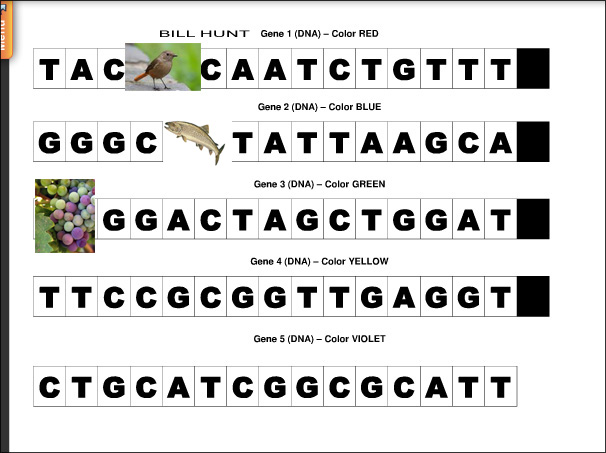 BillsSequence+copy2.jpg