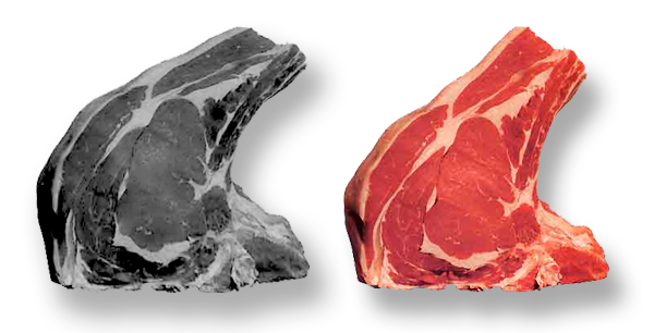 carnes.jpg