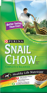 Snail-Chow.jpg