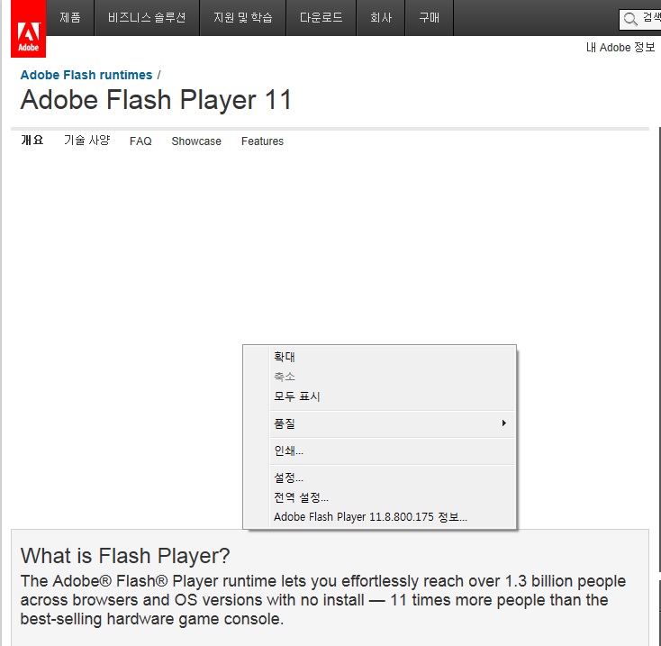 Flash Player Home Page.jpg