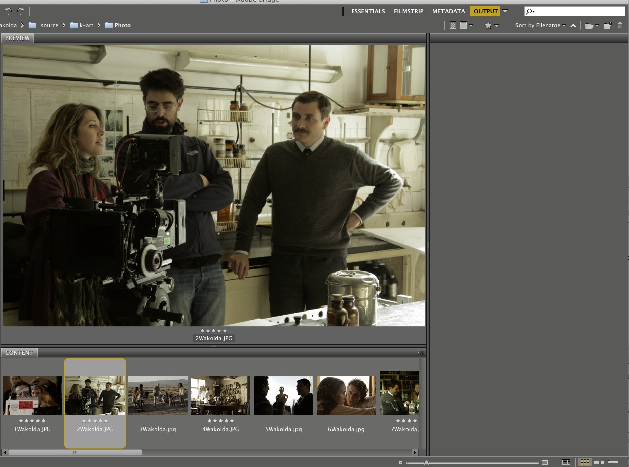 Adobe bridge-AOM.jpg