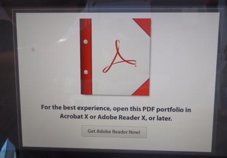 Adobe screen shot.jpg