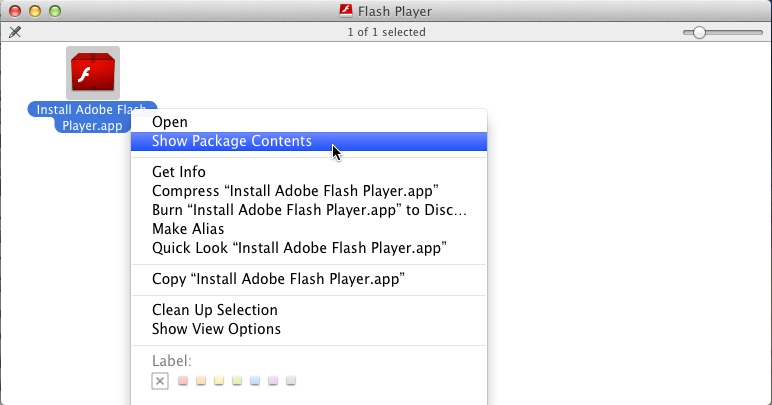 adobe flash player 10.7 download