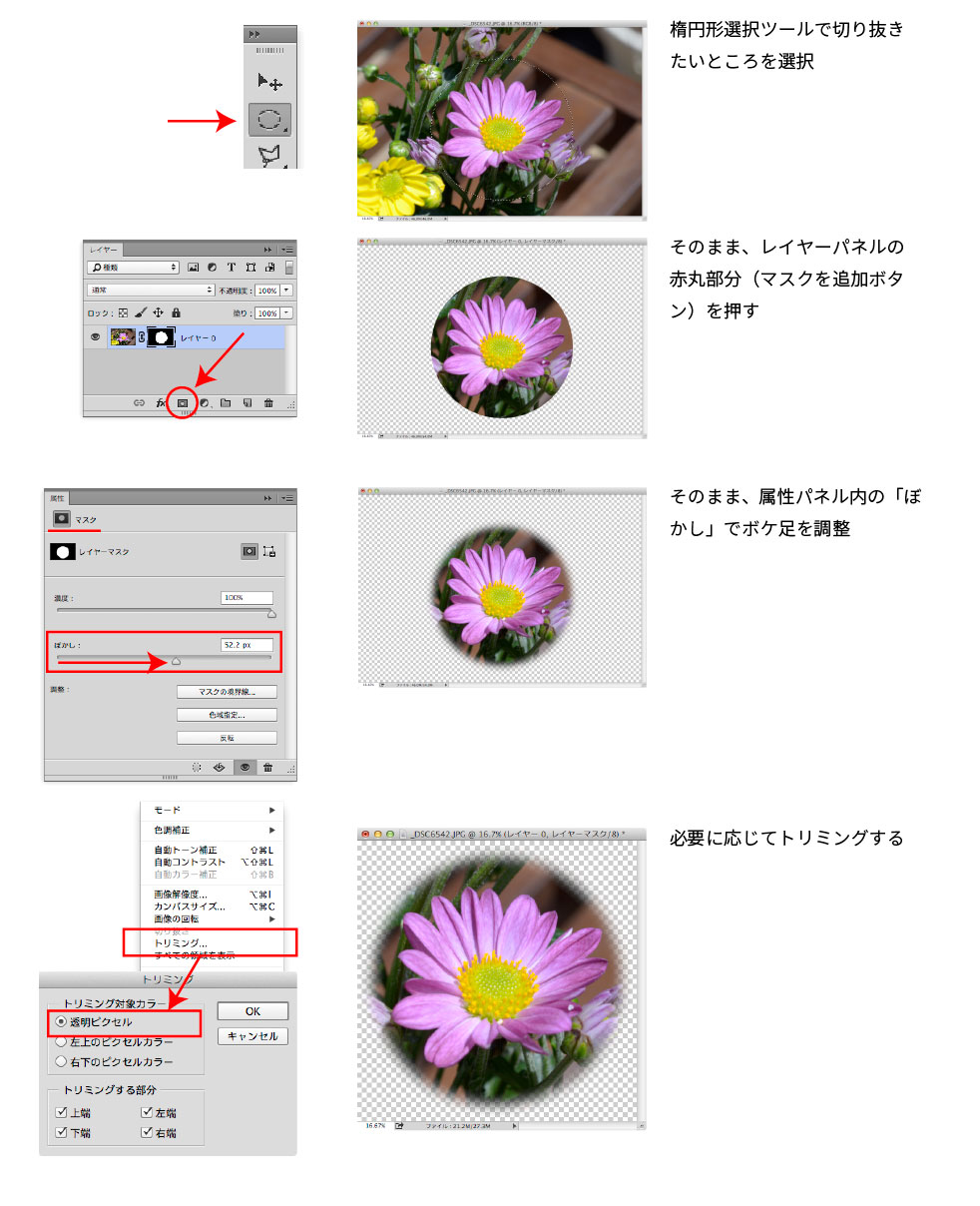 解決済み Photoshop Cc 切り抜き後のふちぼかし Adobe Support Community