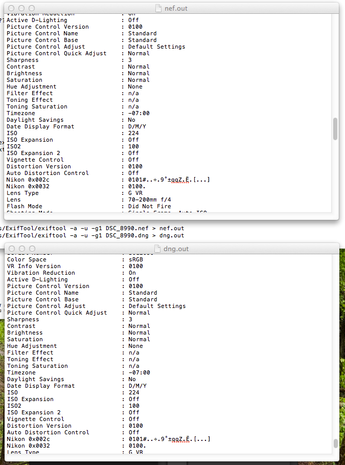 exiftool-output.png