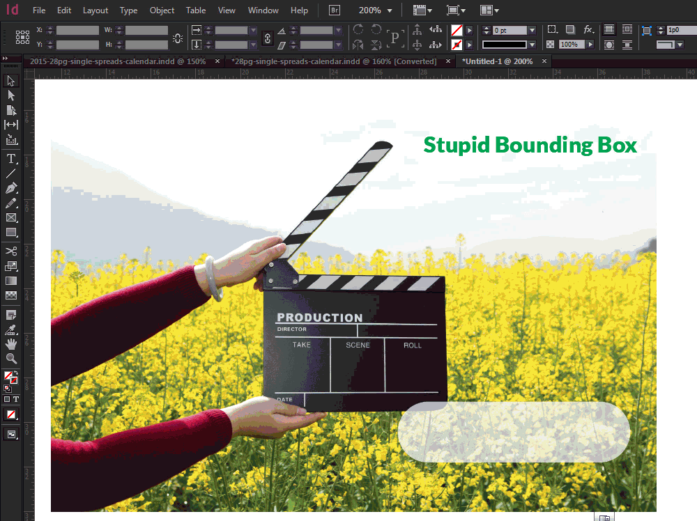 indesign-bounding-box-issue.gif