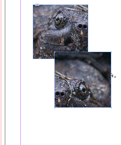 ScreenSnapz1-3.png