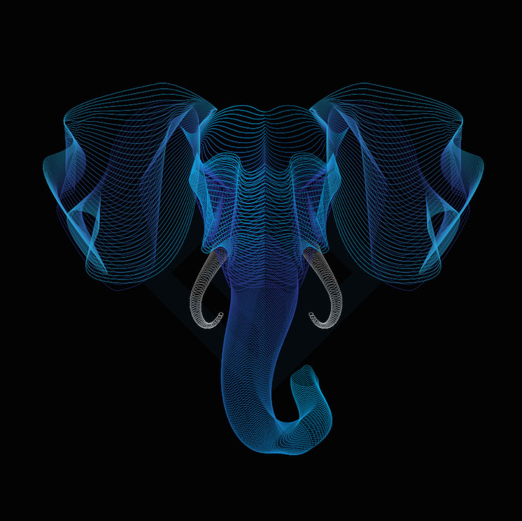 averett-elephant.jpg