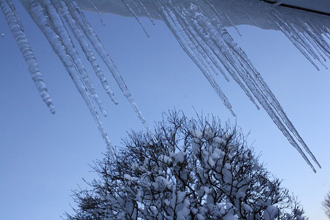 icicles_1261.jpg