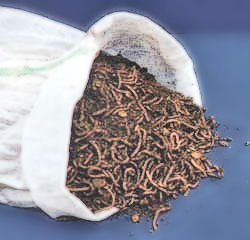 bag-o-worms.jpg