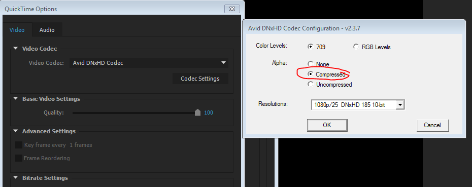 quicktime codec for after effects download