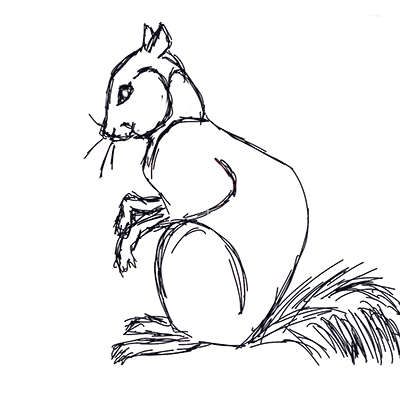 bad_squirrel