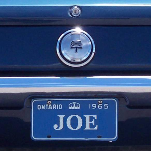 Mustang Joe