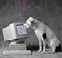 thedigitaldog