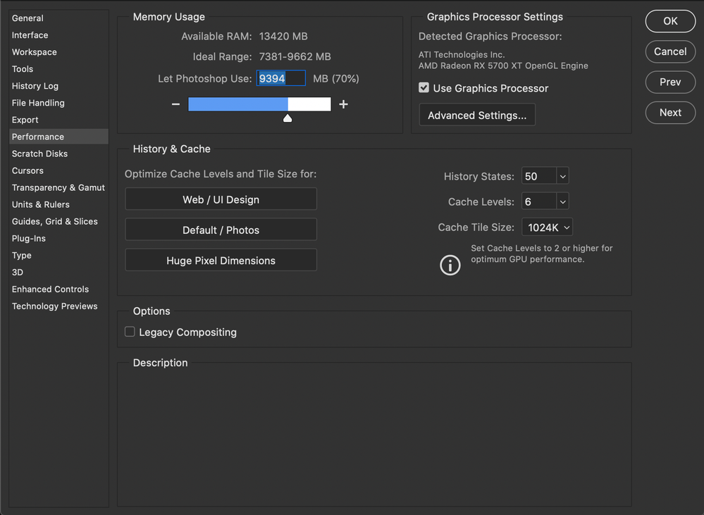 Performance Setting - I have selected "Huge Pixel Dimension" optimization