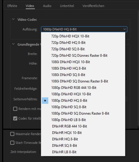 Adobe Media Encoder - Codecs.JPG