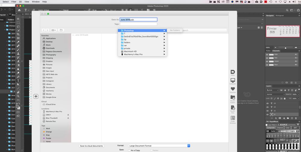 Screen Shot 2020-05-31 at 8.53.37 AM copy.jpg
