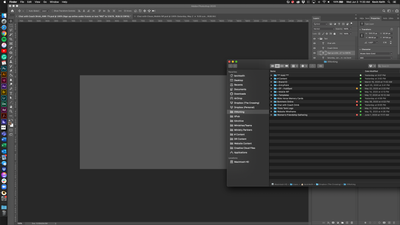 Screen Shot 2020-06-03 at 11.30.24 AM.png