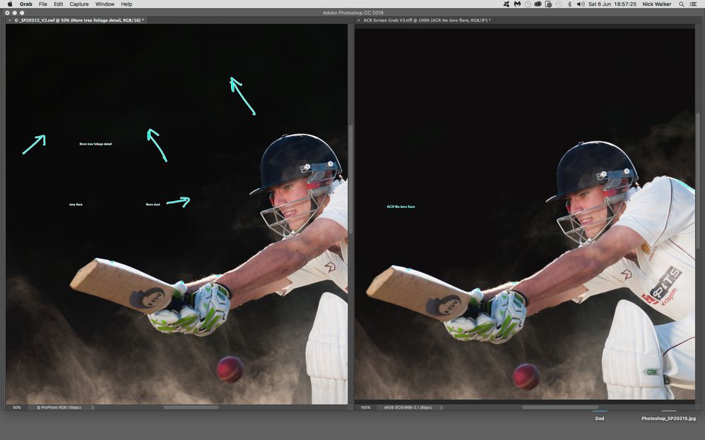 Cricket_Side_by_Side_V3.jpg