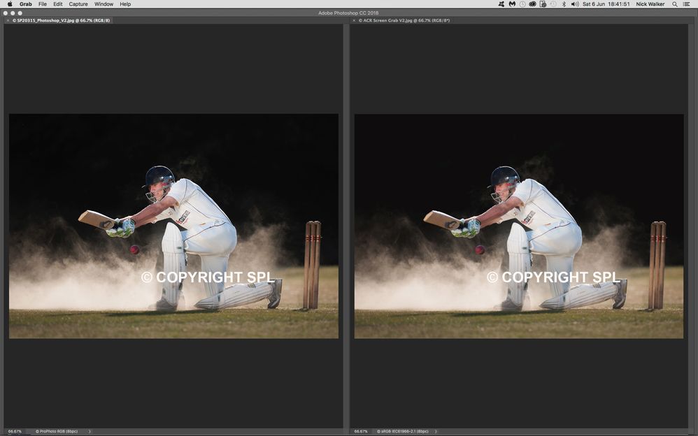 Cricket_Side_by_Side_V4.jpg