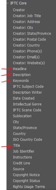 Bridge IPTC Core Meta Tags.png