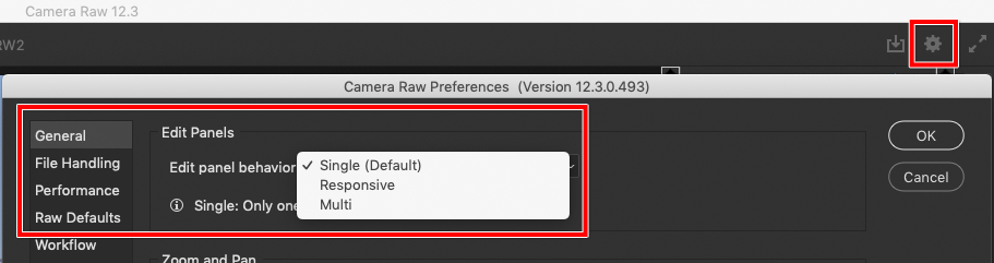 Camera-Raw-prefs-for-panels.png