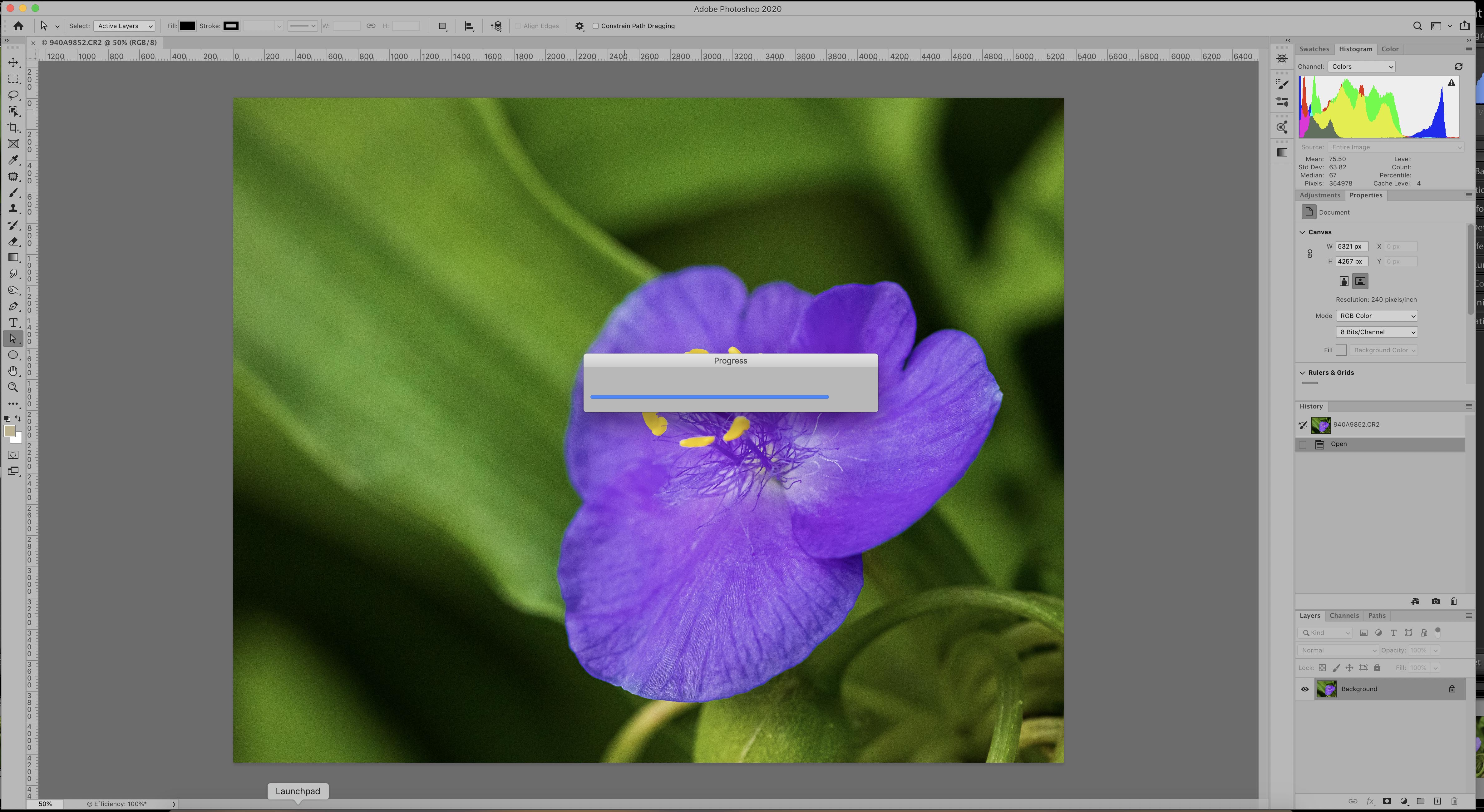 how-to-edit-professional-photo-in-photoshop-cs6-best-trickes-for