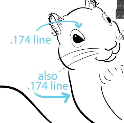 SquirrelLineWeight.jpg