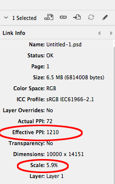 Screen Shot 9.png