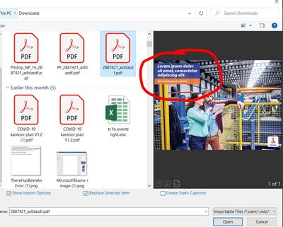 indesign_place_preview.JPG